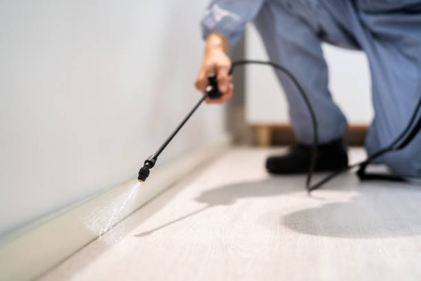 Licensed Pest Control service in Newton, MS - Show Me Pest Control