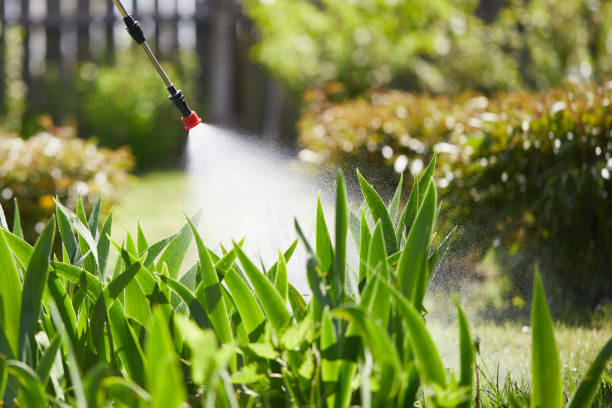 Tamper-Resistant Bait Stations for Rodents in Newton