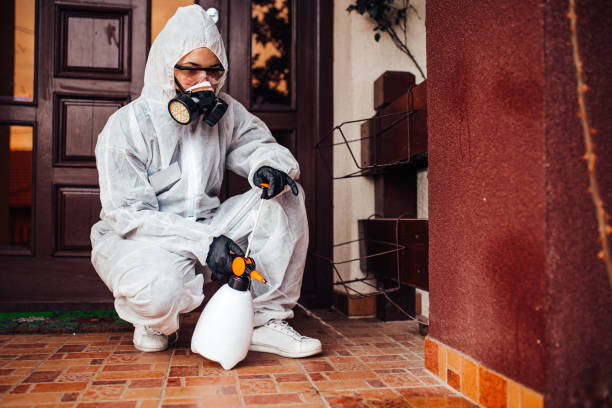 Attic and Crawl Space Rodent Treatment in Newton